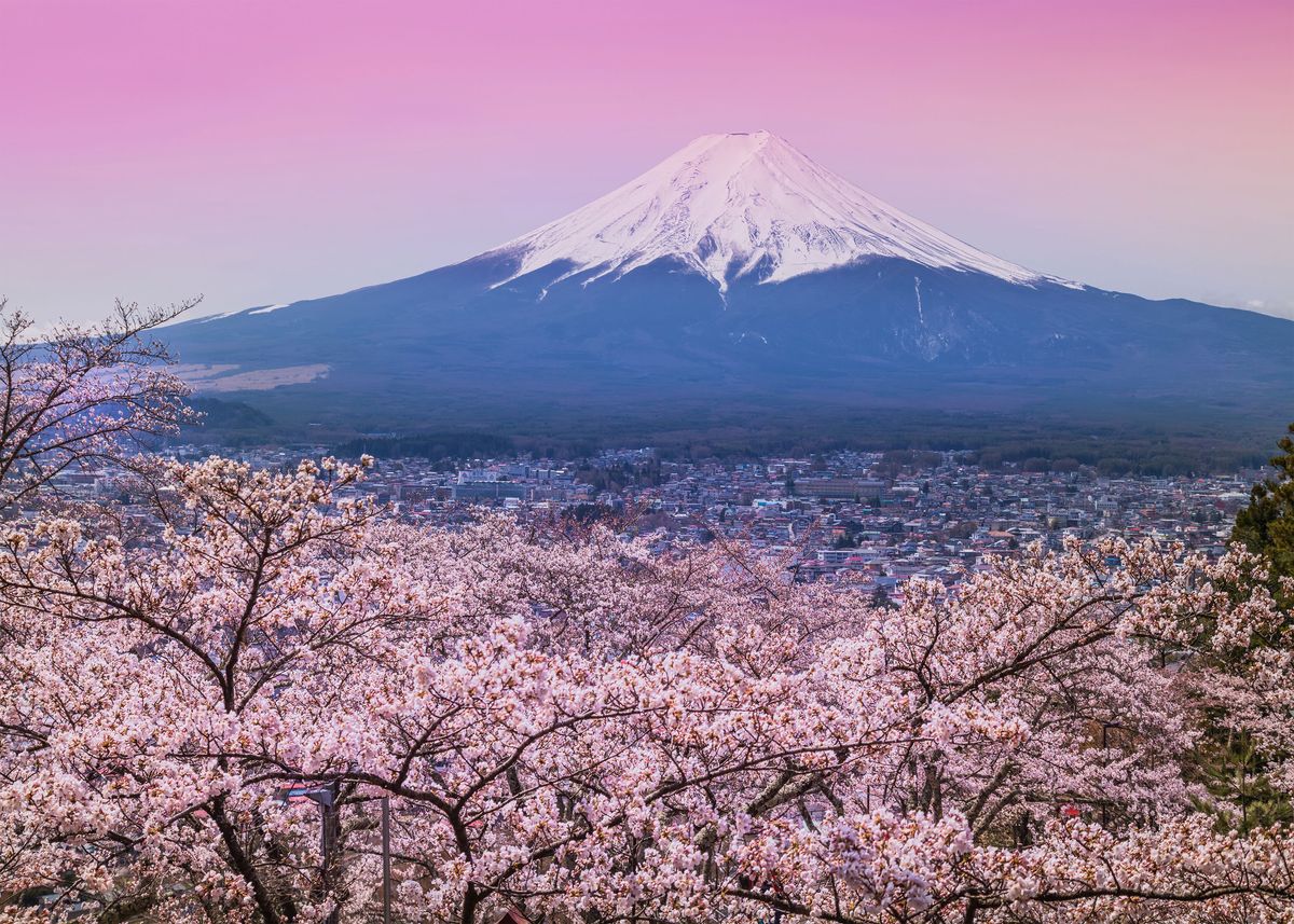 Beautiful Japan Fuji Poster Picture Metal Print Paint By Leika