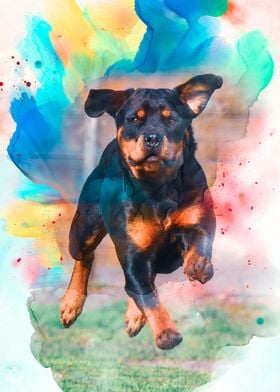 Rottweiler Illustration Poster By Visualz Displate