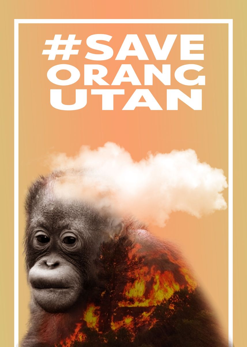 Save Orang Utan Poster Picture Metal Print Paint By Aldi William