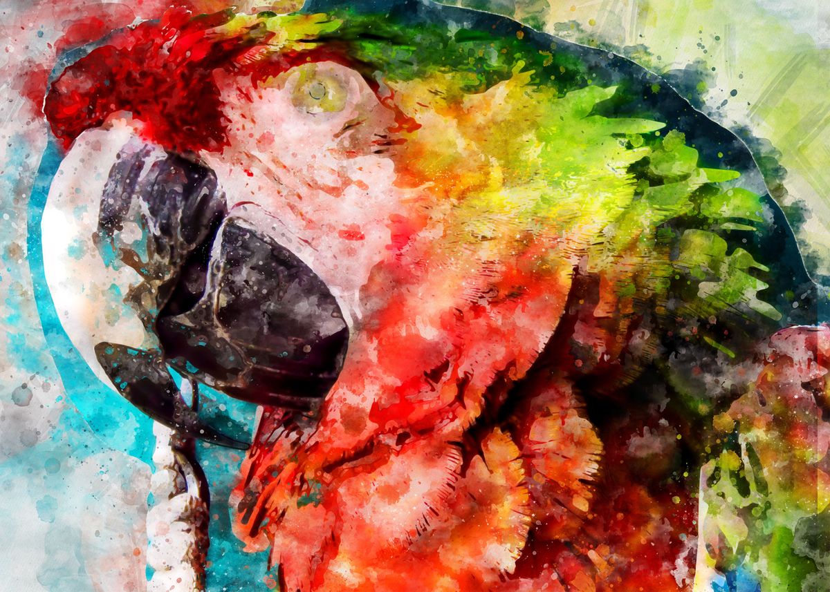 Watercolor Bird Parrot Poster By Indra Supratono Displate