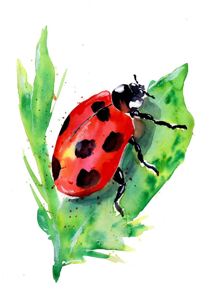 Lady Bug On Green Leaf Poster By Sebastian Grafmann Displate