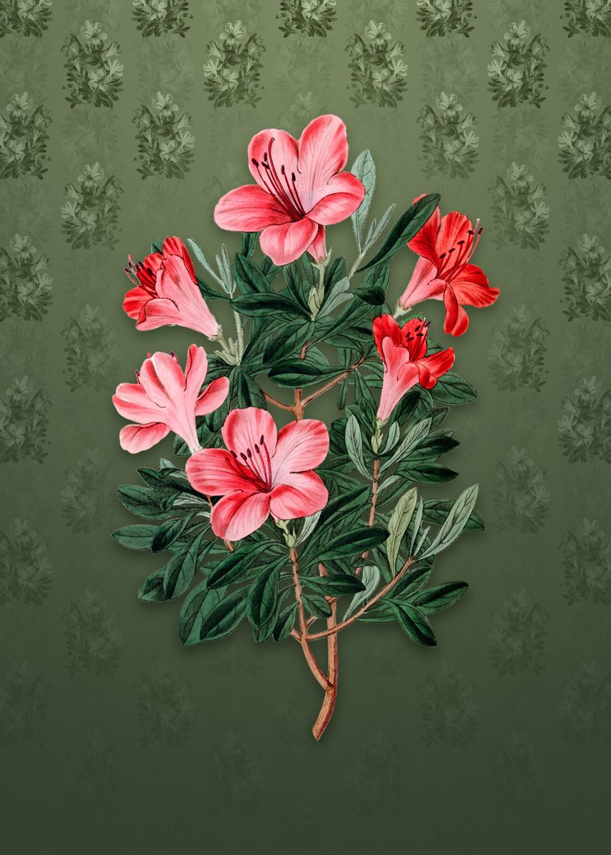 Brick Red Chinese Azalea Poster By Holy Rock Design Displate