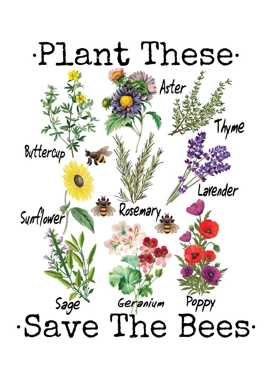 Plant These Save The Bees Poster Picture Metal Print Paint By