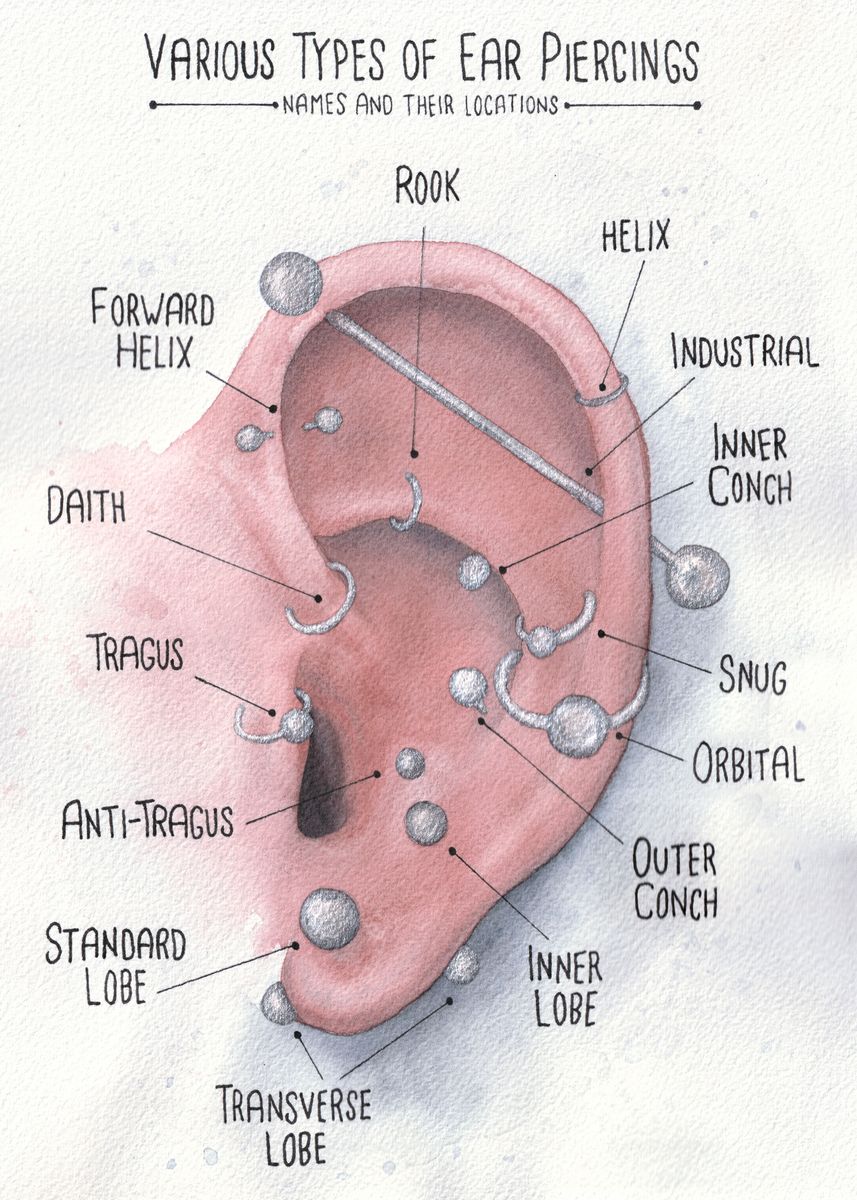 Watercolor Piercings Chart Poster By Jarrod Vandenberg Displate