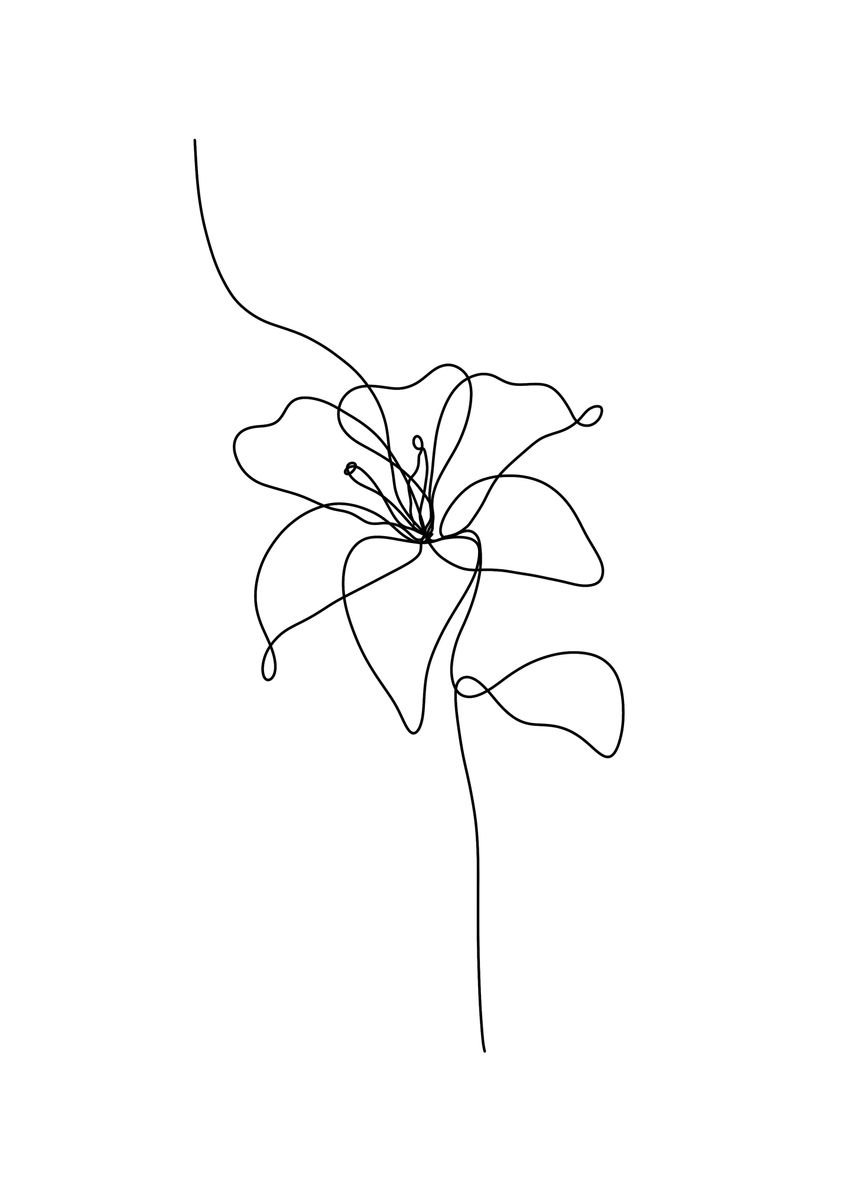 Lily Line Art Poster Picture Metal Print Paint By Mild Pic Displate