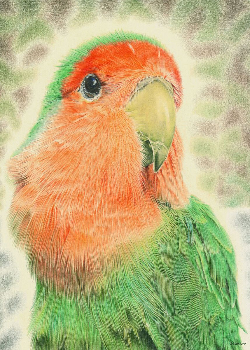 Peach Faced Lovebird Poster Picture Metal Print Paint By Casey