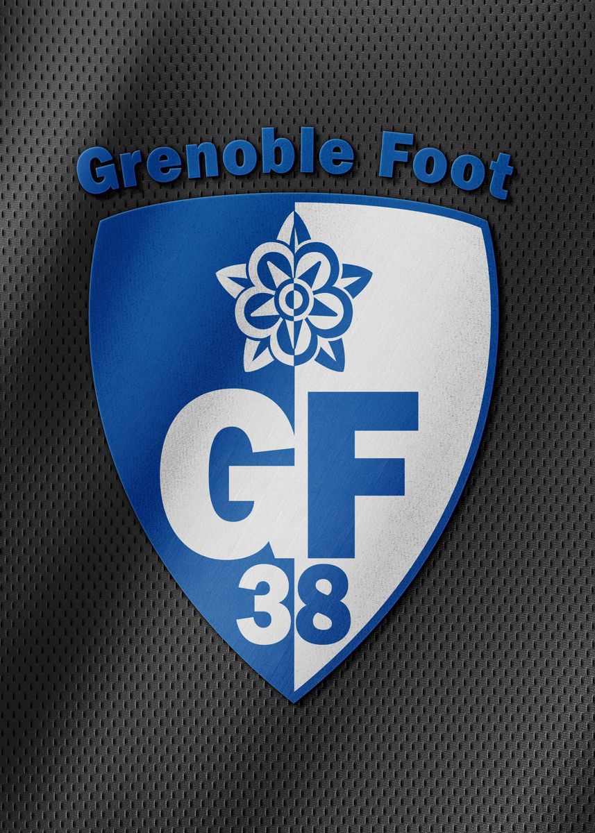 Grenoble Foot 38 Poster Picture Metal Print Paint By Tracy Houston