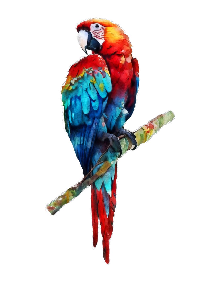 Scarlet Macaw Watercolor Poster Picture Metal Print Paint By