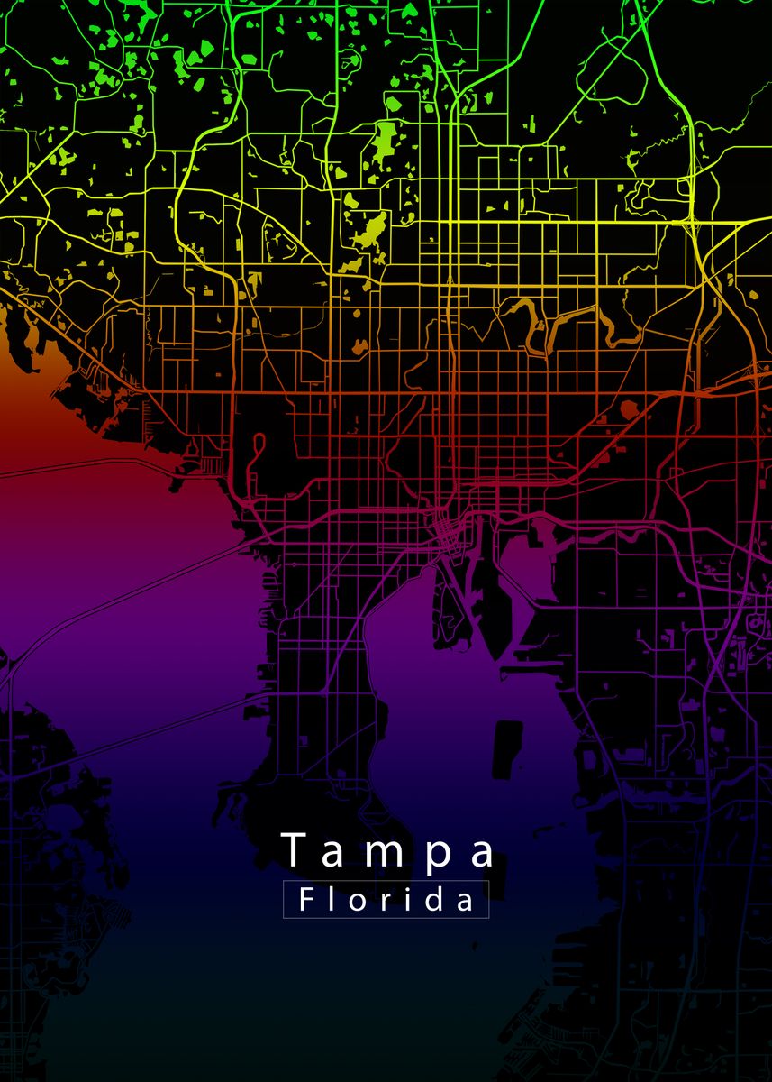 Tampa Florida City Map Poster Picture Metal Print Paint By Mapique