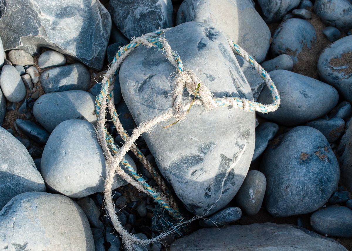 'Rock and Rope' Poster, picture, metal print, paint by Eliza Donovan ...