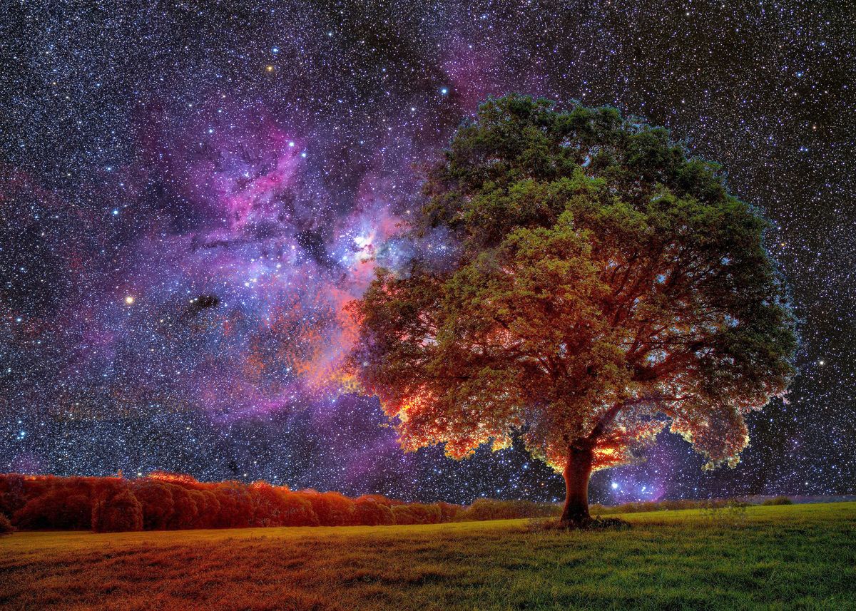 ‘Galaxy Garden’ Poster by MaNia Creations | Displate