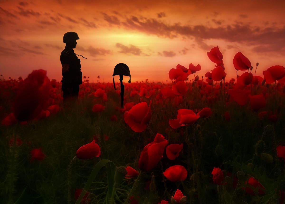 'A Soldier mourning the loss of a friend ' Poster, picture, metal print ...