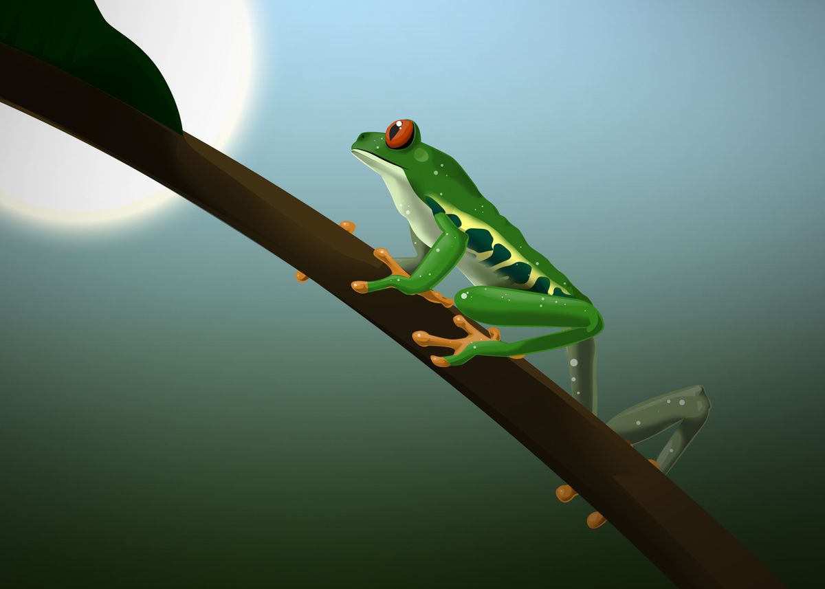 'rana arboricora' Poster, picture, metal print, paint by Siva 2D | Displate