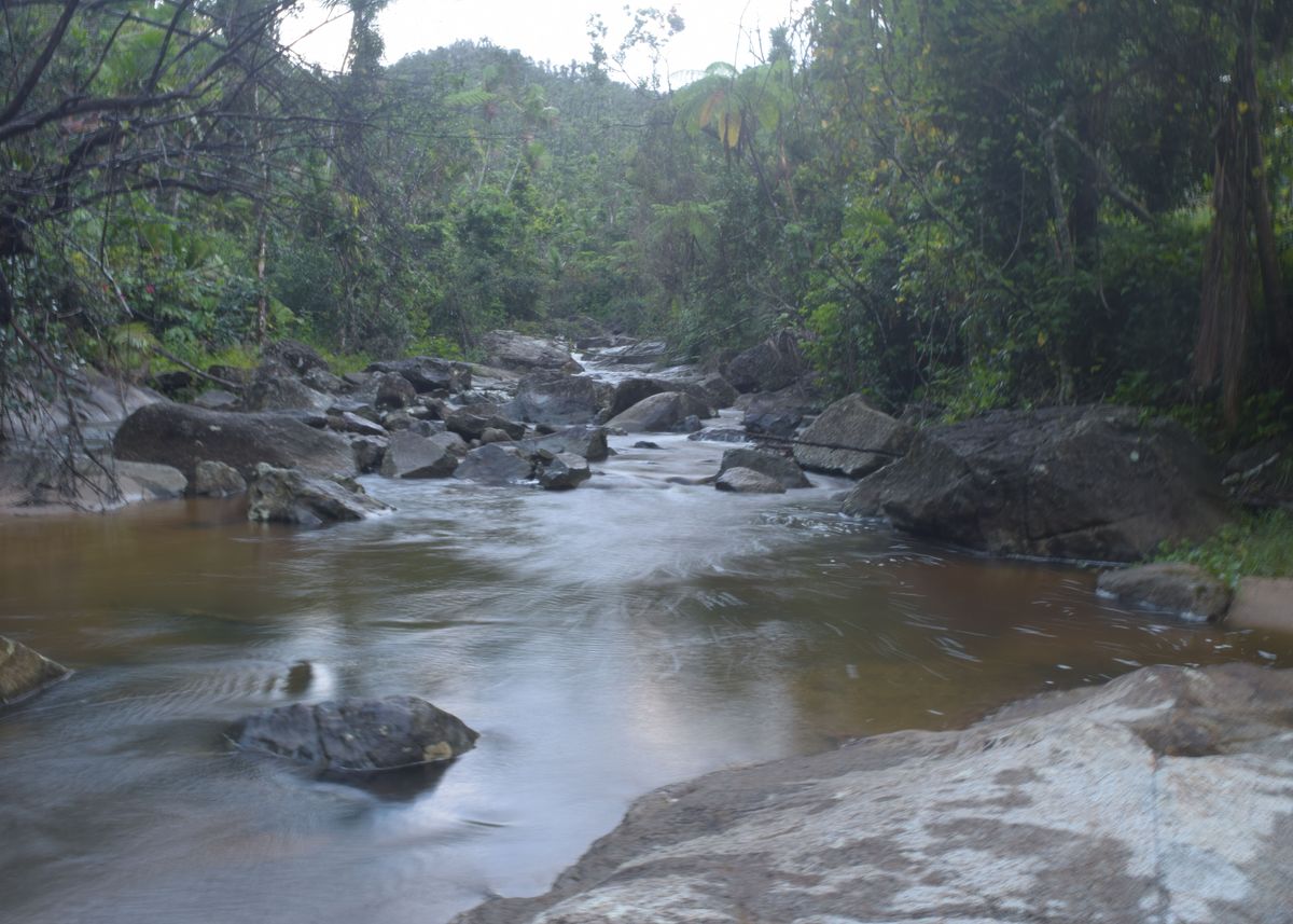 'Rio Sabanas River' Poster, picture, metal print, paint by raul garcia ...