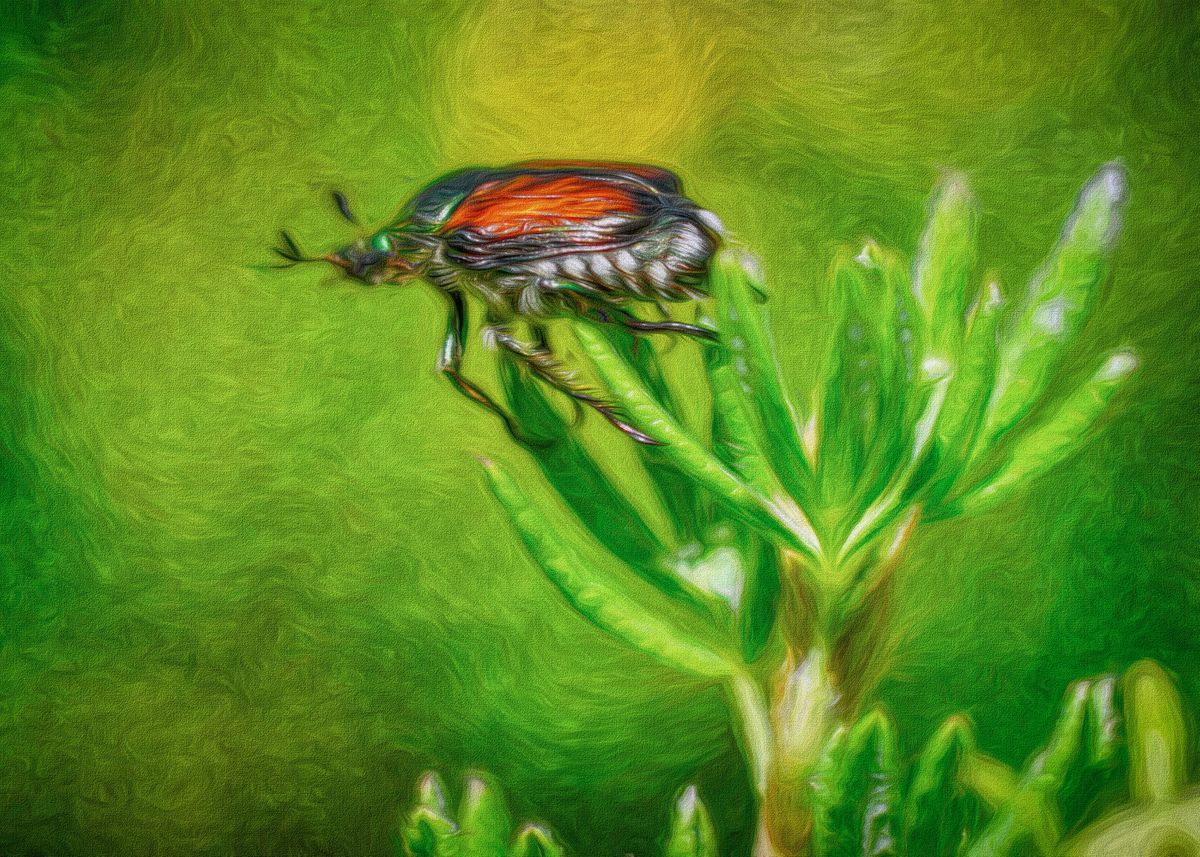 'Japanese Beetle' Poster by Joyce Steele | Displate