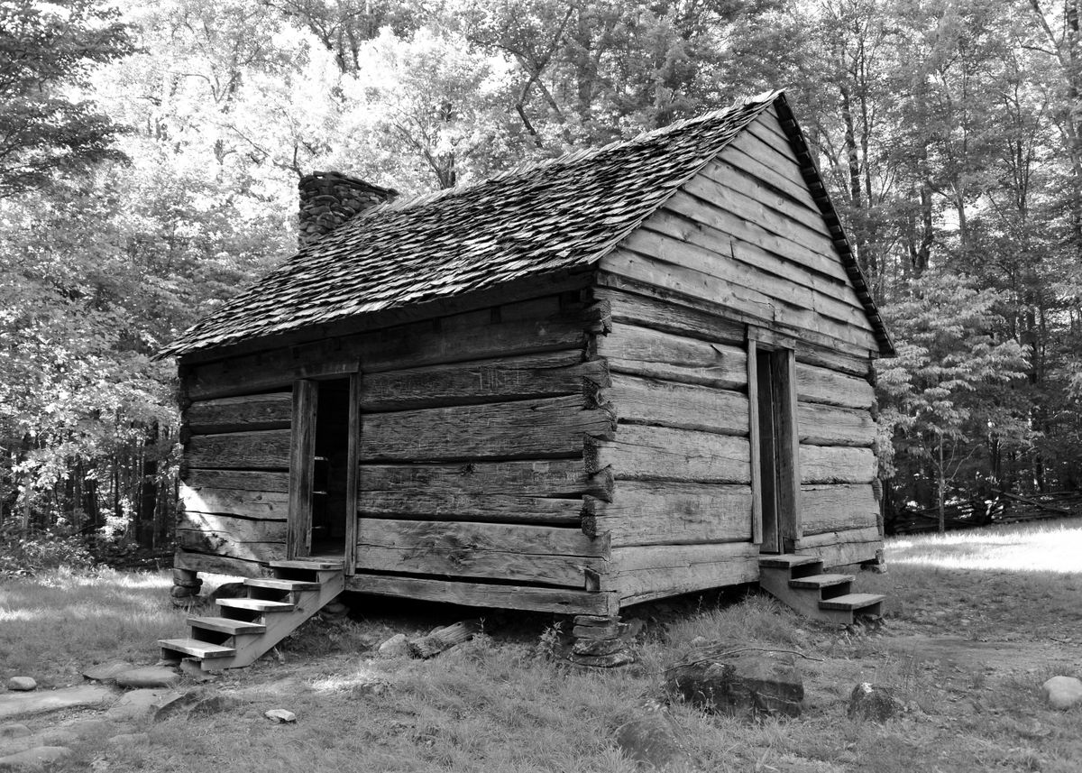 'Alex Cole Cabin 1800s' Poster, picture, metal print, paint by David ...