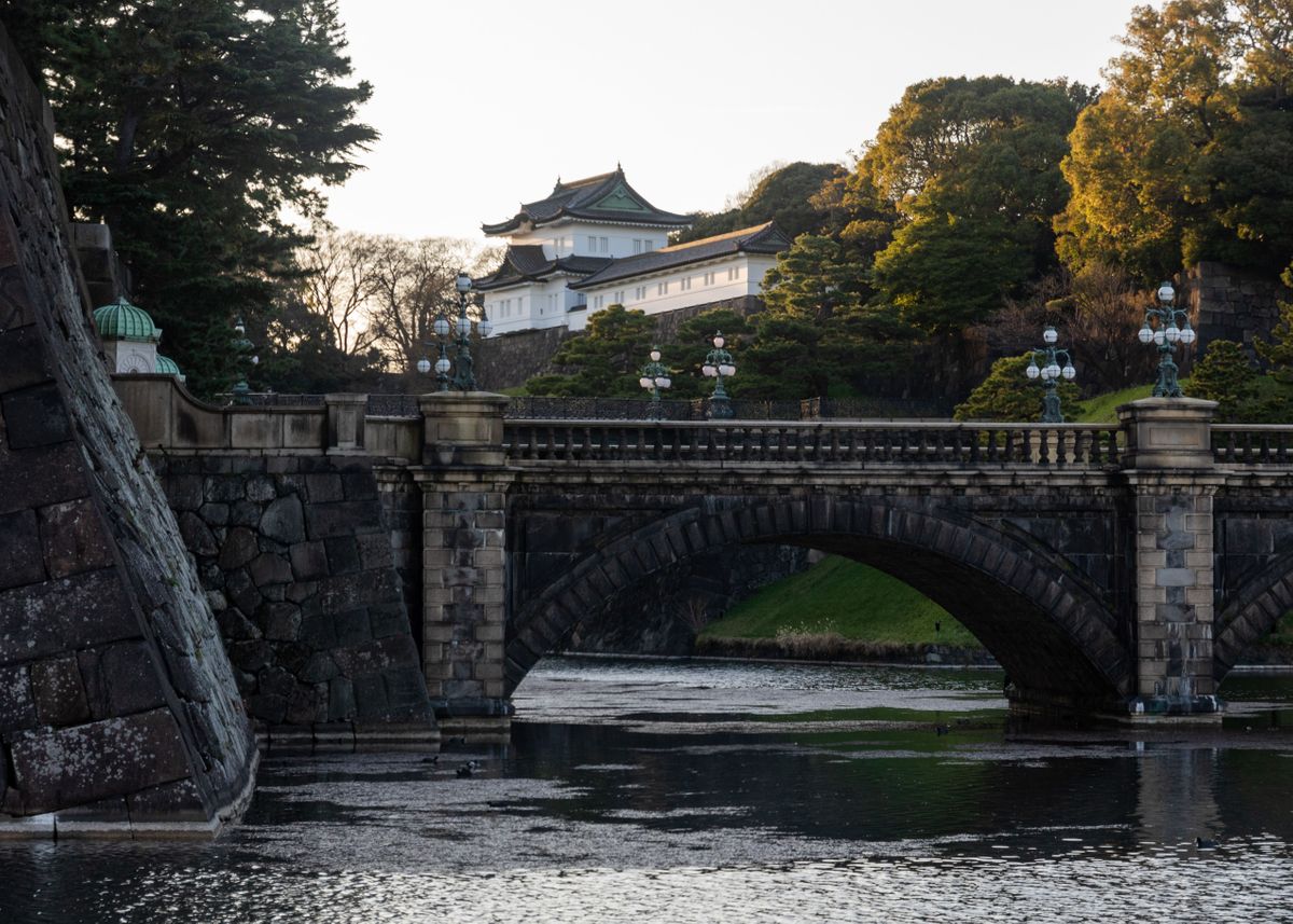 'Tokyo Imperial Palace' Poster, picture, metal print, paint by Leander ...