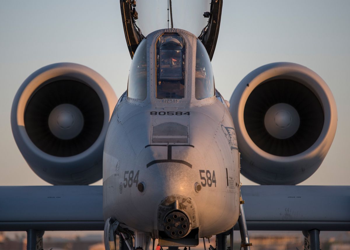 'A10 Thunderbolt II' Poster, Picture, Metal Print, Paint By Conceptual ...