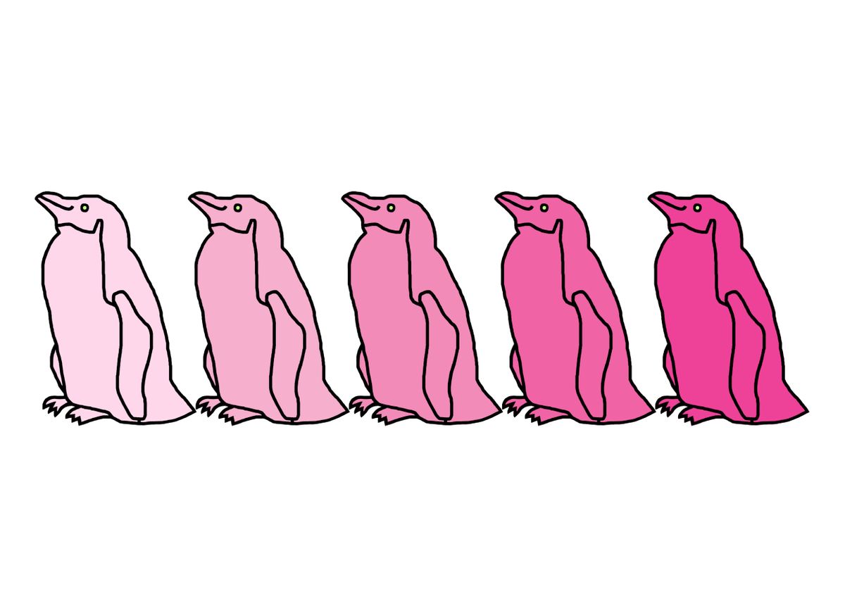 'Five Pink Penguins' Poster, picture, metal print, paint by