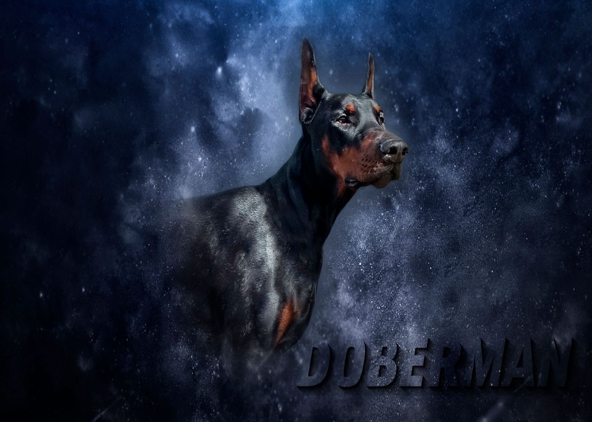 Yooyu Immagine Moderna Di Arte Della Parete Black Doberman Dog Canvas Cuadros Gun Luxury Fashion Poster Stampe Su Tela Pittura Room Decor 70x90cm - Foto 2