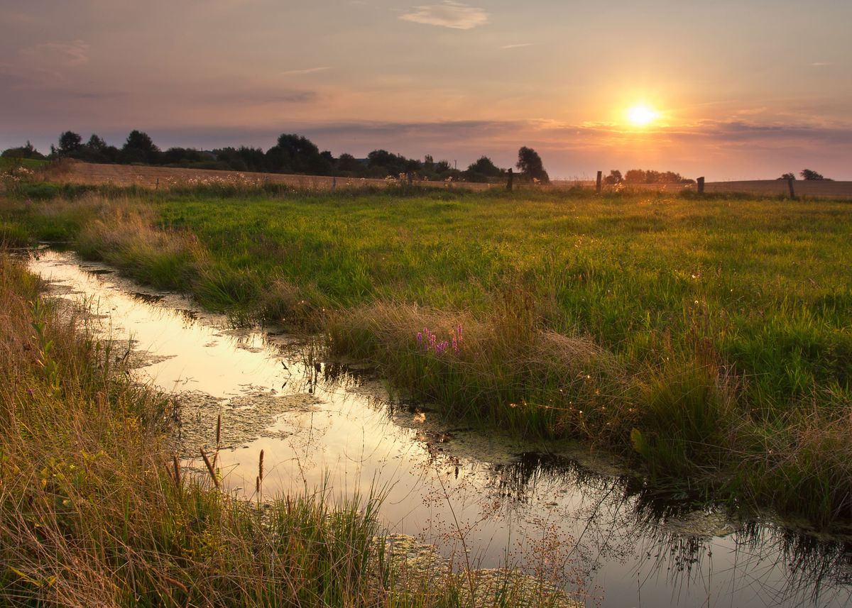 'Wild River Landscape' Poster, picture, metal print, paint by Stunning ...