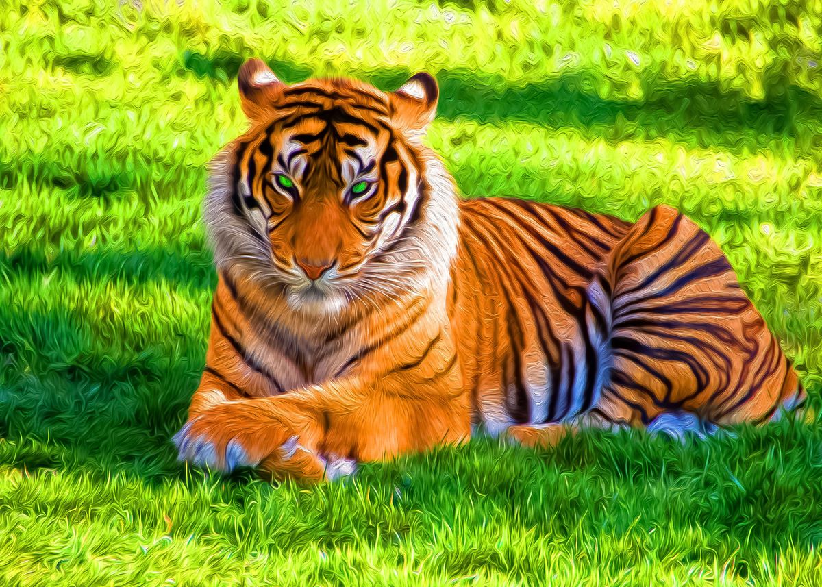 Wall Mural orange tiger sitting in green grass 