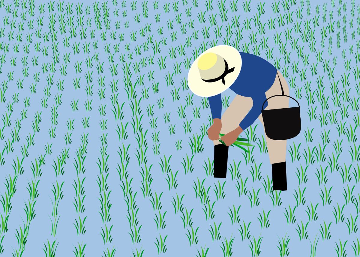 'Planting rice' Poster, picture, metal print, paint by Michal Eyal ...