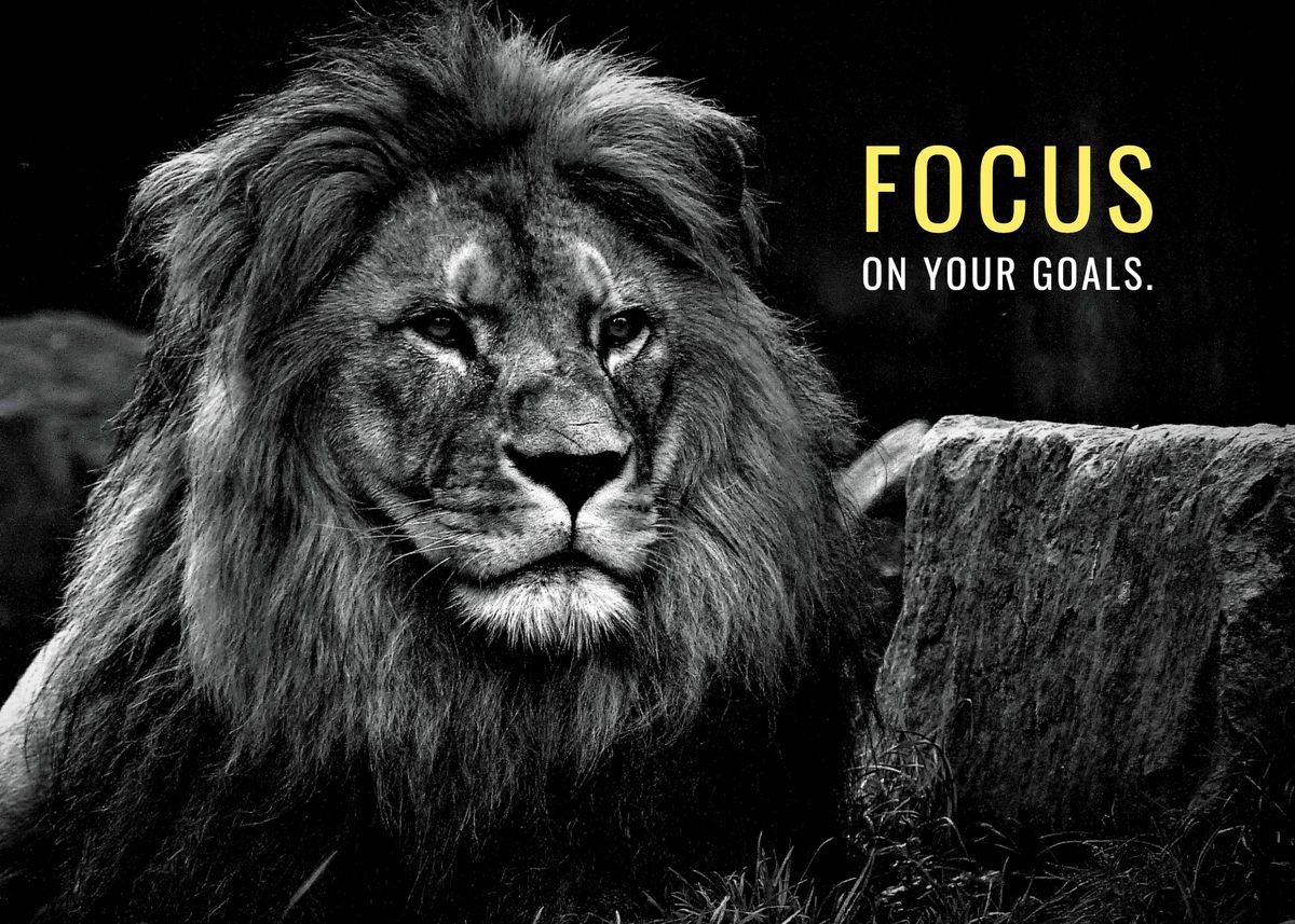 'Focus on your Goals' Poster, picture, metal print, paint by ...