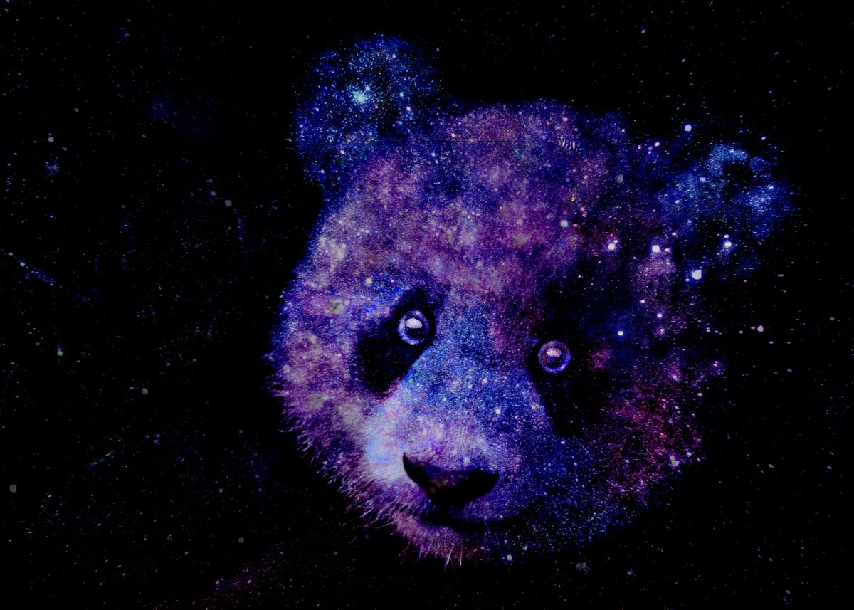 'Cosmic Panda' Poster, picture, metal print, paint by Leon Seemann ...