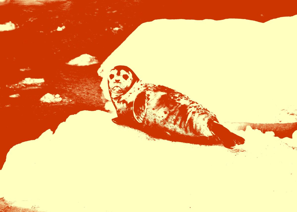 'A Seal On Ice' Poster by Jane Lovering Displate