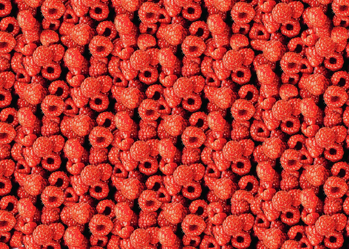 Raspberry Seed Pattern 'Raspberry Pattern' Poster by Sci | Displate