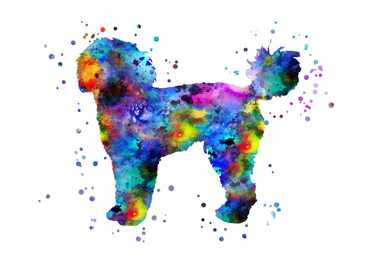 'Cockapoo ' Poster, picture, metal print, paint by RosaliasArt | Displate