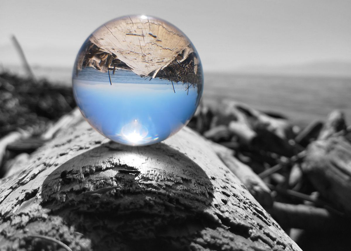 'Lensball black white Lake' Poster, picture, metal print, paint by ...