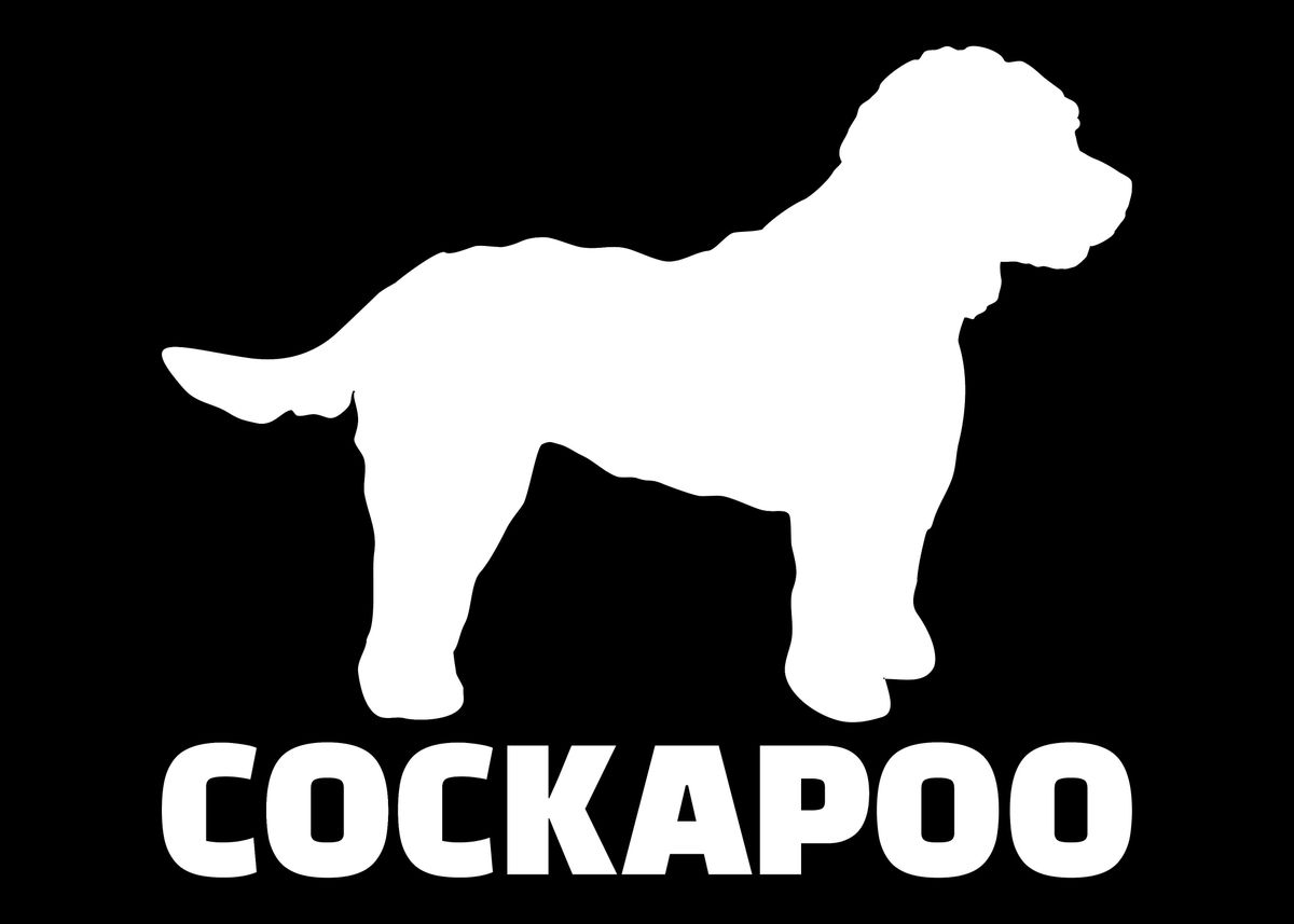 'Cockapoo' Poster, picture, metal print, paint by Designzz | Displate