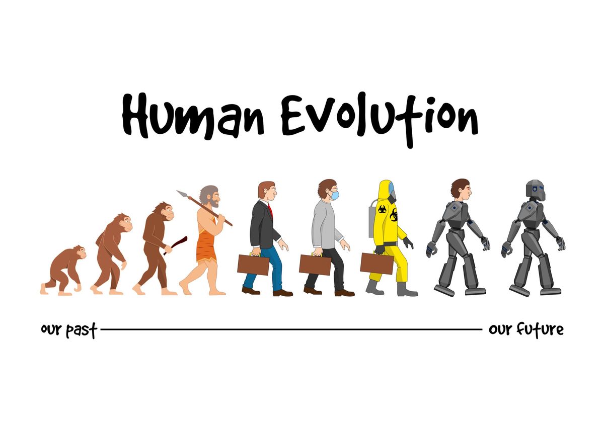 human evolution timeline future