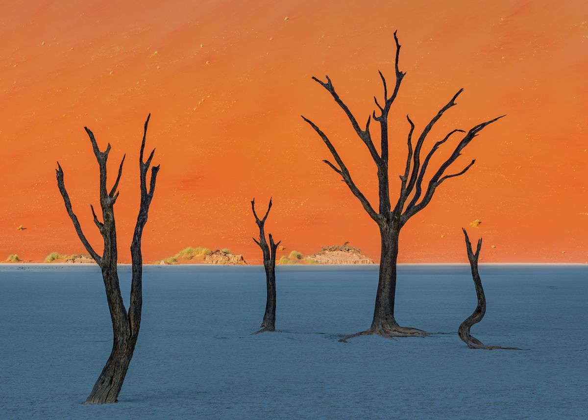 'Deadvlei' Poster by maramade | Displate