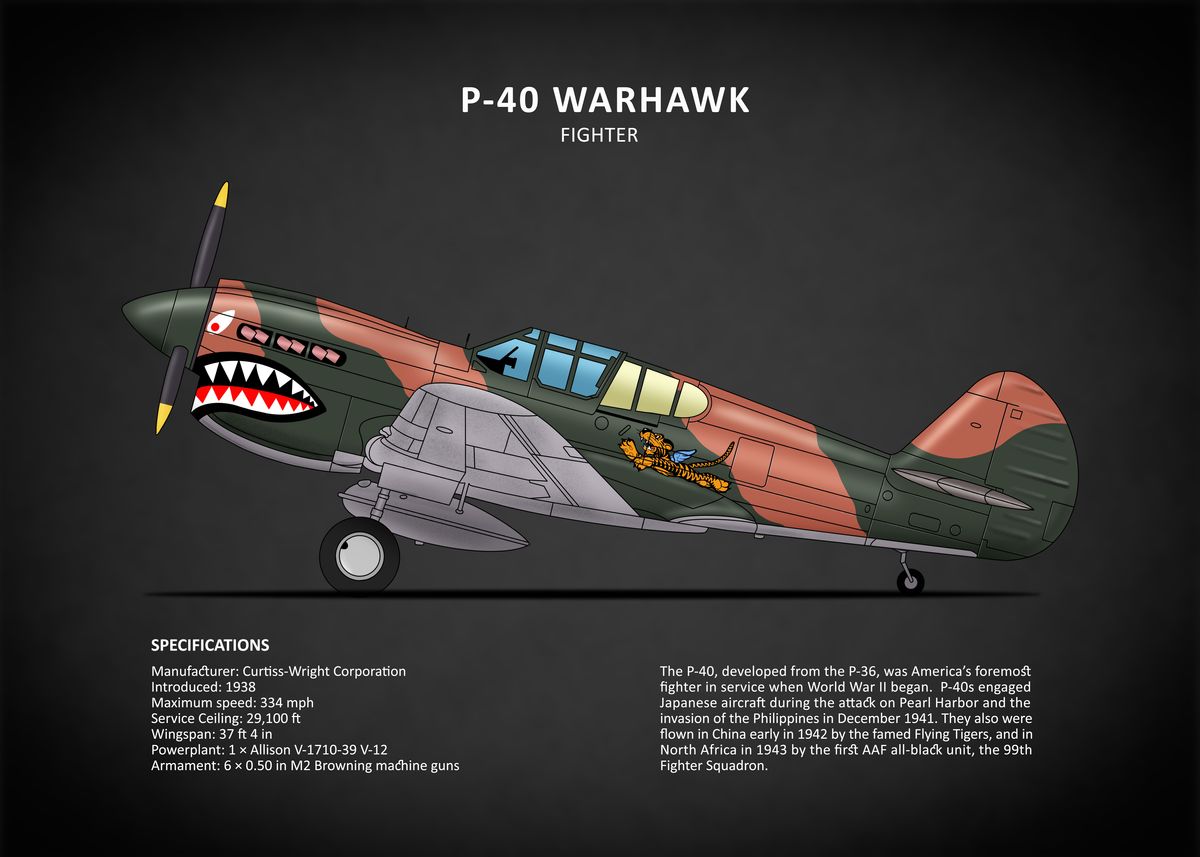 'The P40 Warhawk' Poster, picture, metal print, paint by RogueDesign ...