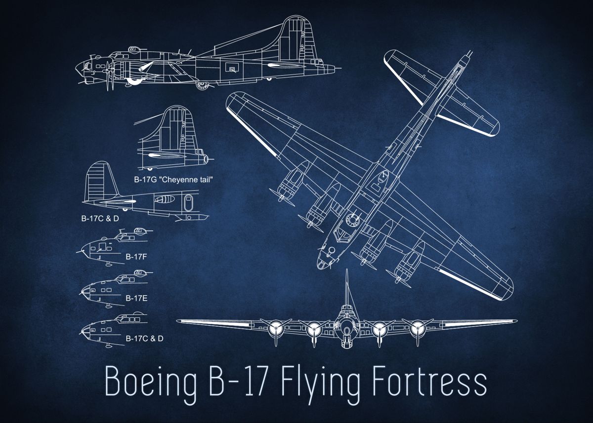 'B17 Bomber Blueprint' Poster, Picture, Metal Print, Paint By The ...