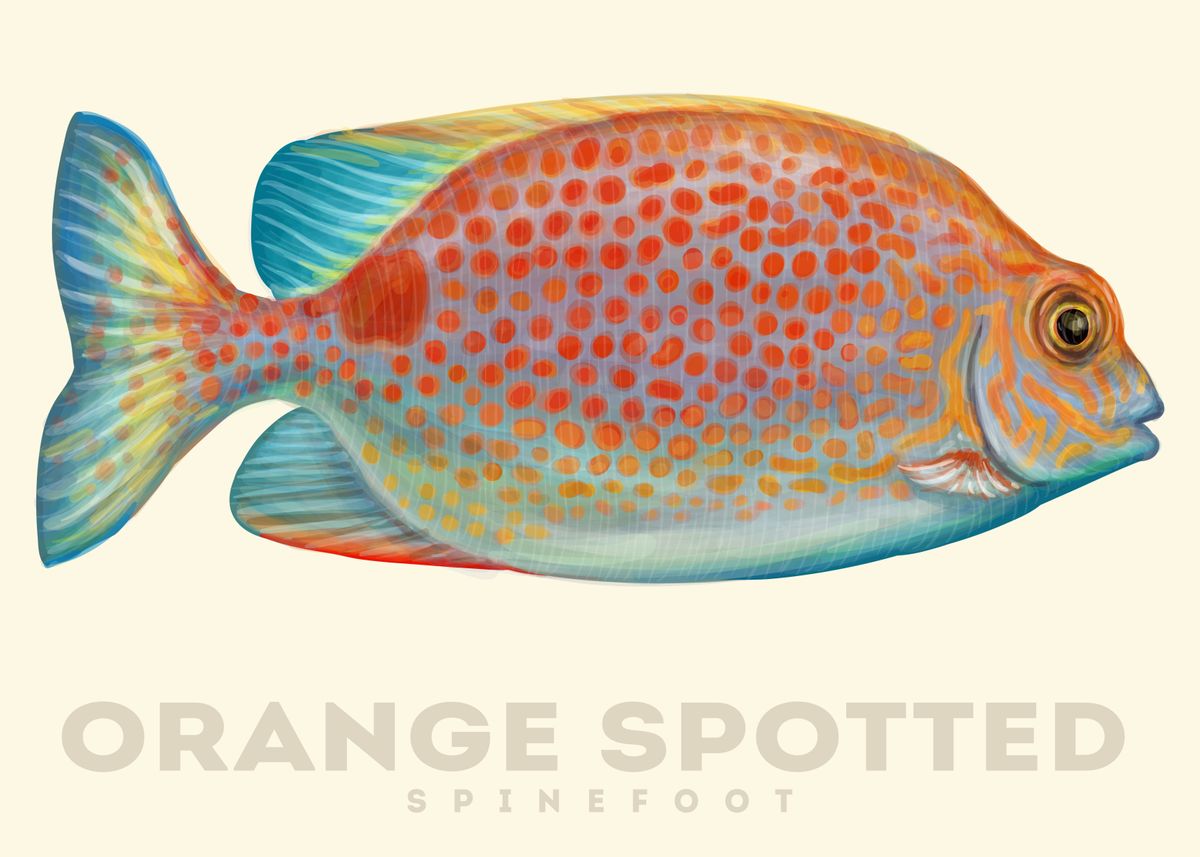 'Orange Spotted SpineFoot' Poster by Human Shadow | Displate