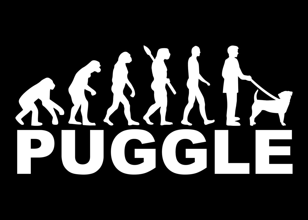 Puggles Text 'Puggle' Poster, picture, metal print, paint by Designzz | Displate