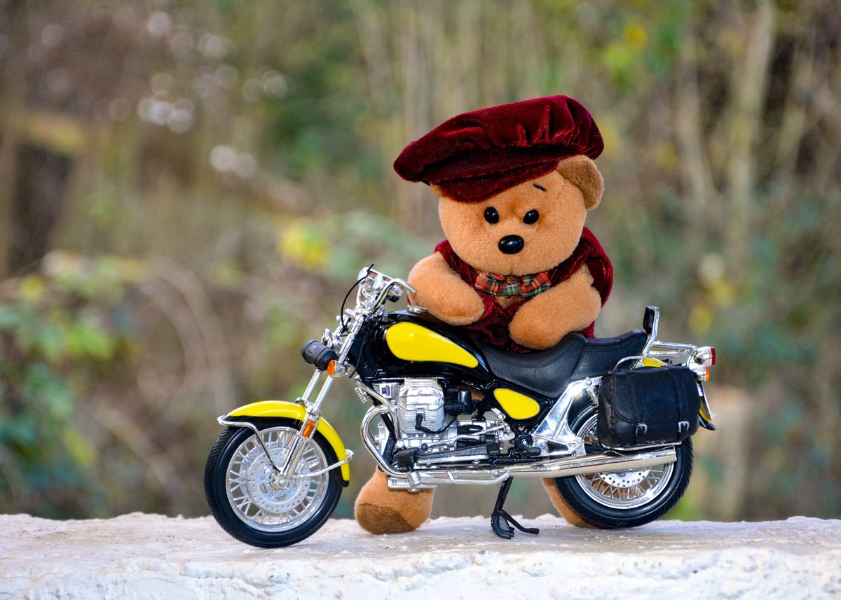 biker teddy bear