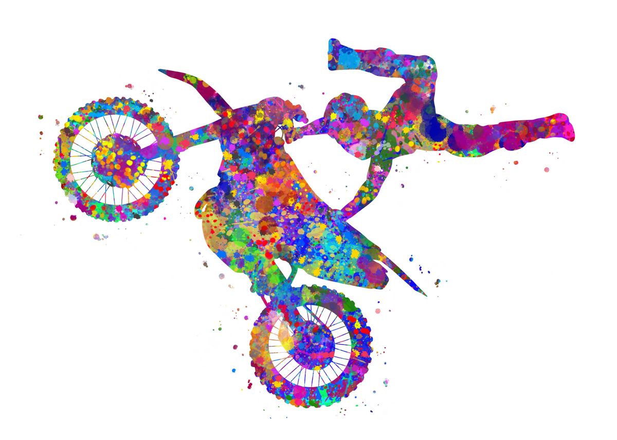 Canvas Print free style motocross 