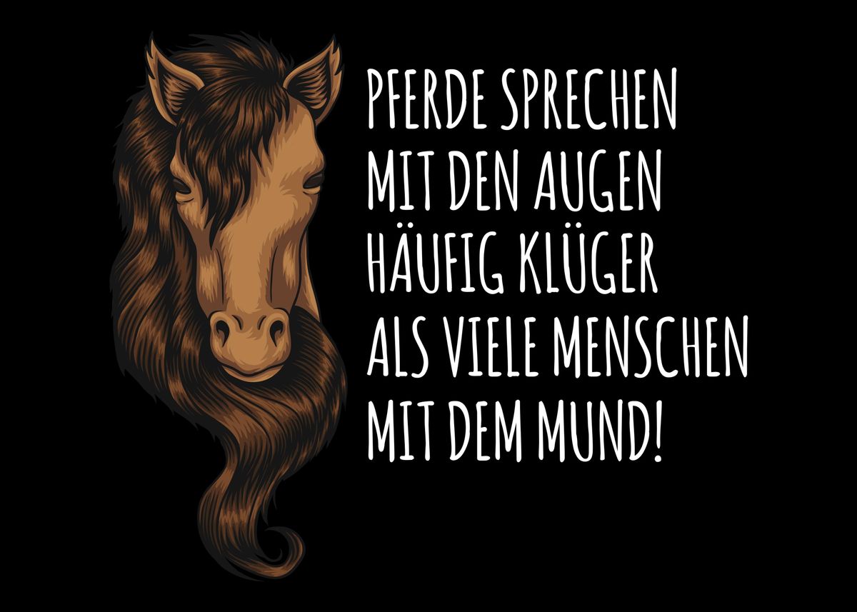 'Witziger Reiter Spruch' Poster, picture, metal print, paint by