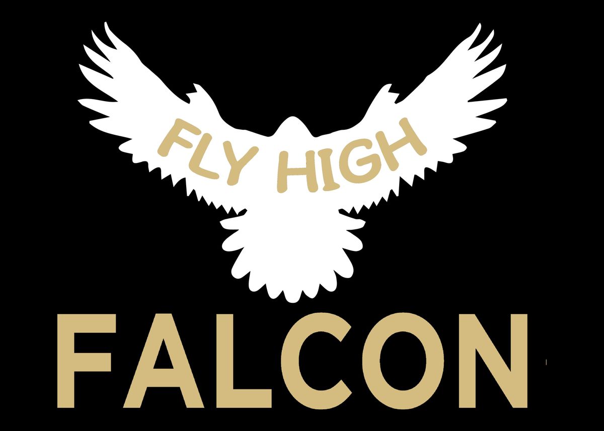 'Falconry Falcon Falconer' Poster, picture, metal print, paint by ...
