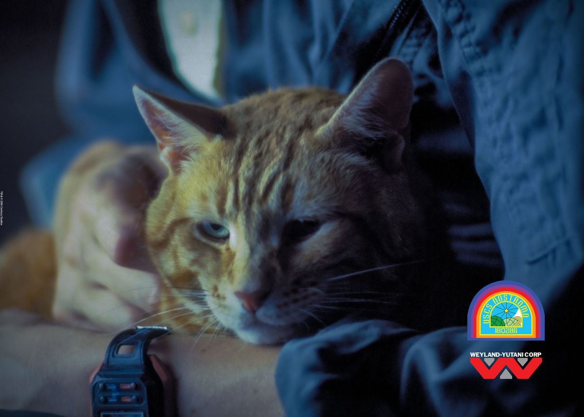 'Jonesy The Cat' Poster, picture, metal print, paint by Alien Displate