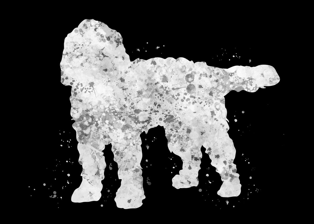 'Cockapoo dog' Poster, picture, metal print, paint by Yahya Art | Displate