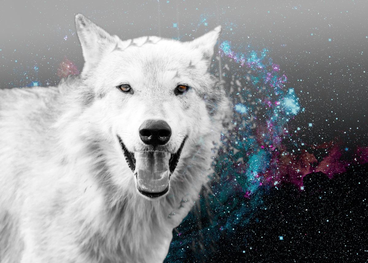 'White wolf creative poster' Poster, picture, metal print, paint by ...