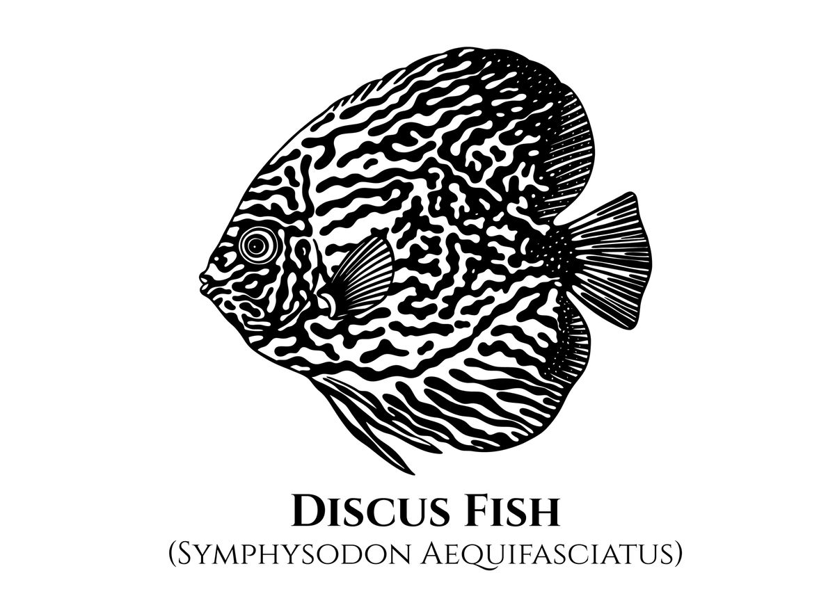 'Discus Fish with Names' Poster by GreenPaladin Displate