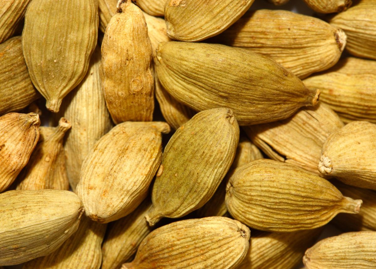 'Cardamom pods' Poster by Gaspar Avila | Displate