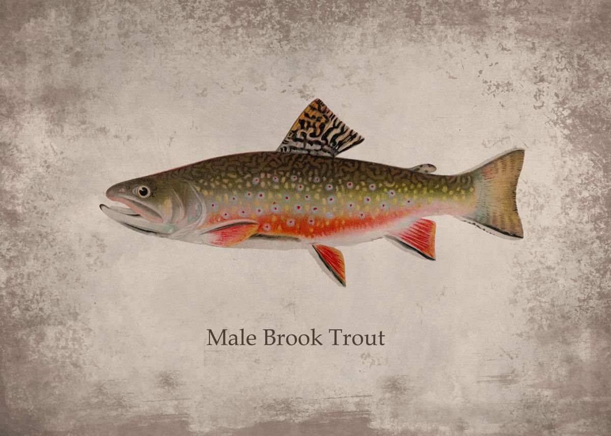 The Cutthroat Trout - Men's Fishing Ring